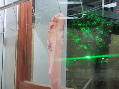 -官塘陈记鱼生·潮汕砂锅粥·牛肉火锅(潮枫路总店)