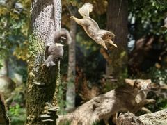 -陕西自然博物馆