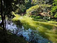 -中国科学院西双版纳热带植物园