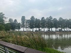 -东湖落雁景区