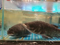 -文涵小院·邻里厨房