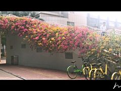 -289艺术PARK