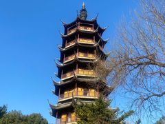 -红梅公园