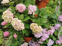 -常州古运河南大街文化旅游区-人民公园