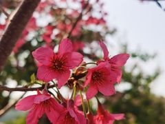 -仙岳公园
