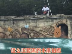 -太阳岛度假酒店