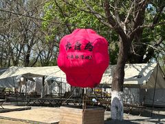 -长白岛森林公园