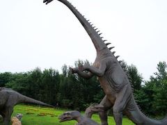 照片&nbsp;102-沈阳植物园