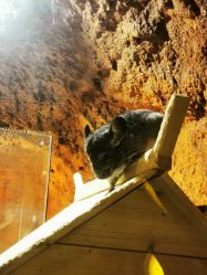 -酷嗒动物文化乐园(cutezoo西溪乐天城店)