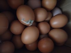 -家辉生鲜超市(东五路店)