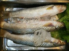 -必点蒸汽海鲜(止锚湾店)