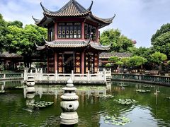 -碧江金楼