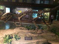 -自贡恐龙博物馆