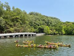 -深圳仙湖植物园