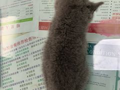 -百信宠物医院(东升街店)