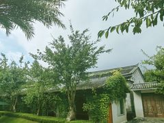-腾冲洞山温泉村