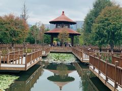 -五缘湾湿地公园