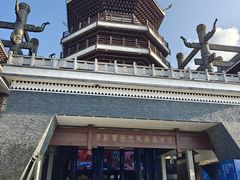 -老凯俚酸汤鱼(多彩城店)