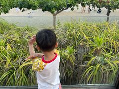 -渔家火锅·海鲜自助餐·演艺(亚龙湾天域酒店)