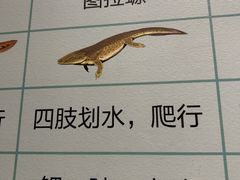 -柳州白莲洞洞穴科学博物馆