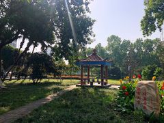 -西南政法大学(沙坪坝校区)