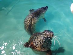 -太平洋海底世界