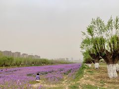 -汉长安城未央宫国家考古遗址公园