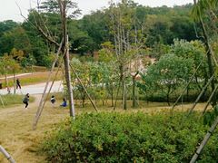 -中山市树木园