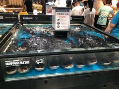 水产区-盒马鲜生(曜一城店)