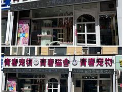 -青奢宠物·青奢猫舍