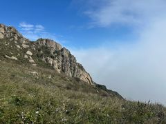 -白草畔自然风景区
