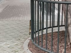 -晋阳饭庄(虎坊桥店)