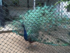 iphone_upload_pic-定园