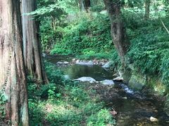 -法云安缦酒店