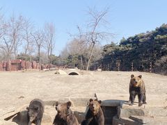 -沈阳森林动物园