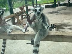 -水上乐园·欢乐世界