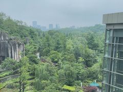 -贵阳中天凯悦酒店