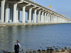 -宝安西湾红树林湿地公园