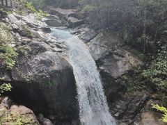 -九龙江国家森林公园