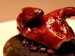 脆皮乳鸽-许家菜(望江店)