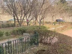 -邢大夫动物医院