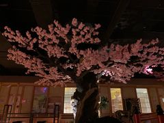 -蓝鲸湾汤泉(包河店)