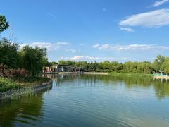 -大兴滨河森林公园