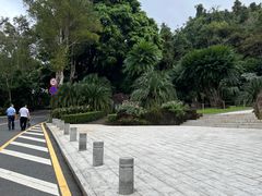 -深圳仙湖植物园