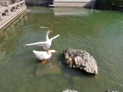 -祝家花園(伯渎港店)