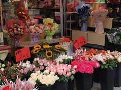 -循礼门鲜花花市(武汉循礼门店)