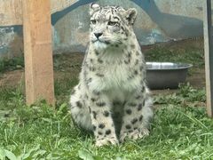 -青藏高原野生动物园