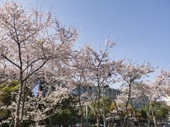 -昆山招商花园城