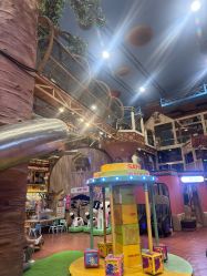 -卡通尼·Safari非洲探索乐园·生日会(金桥国际商业广场店)