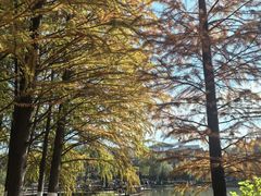 -浙江农林大学(东湖校区)